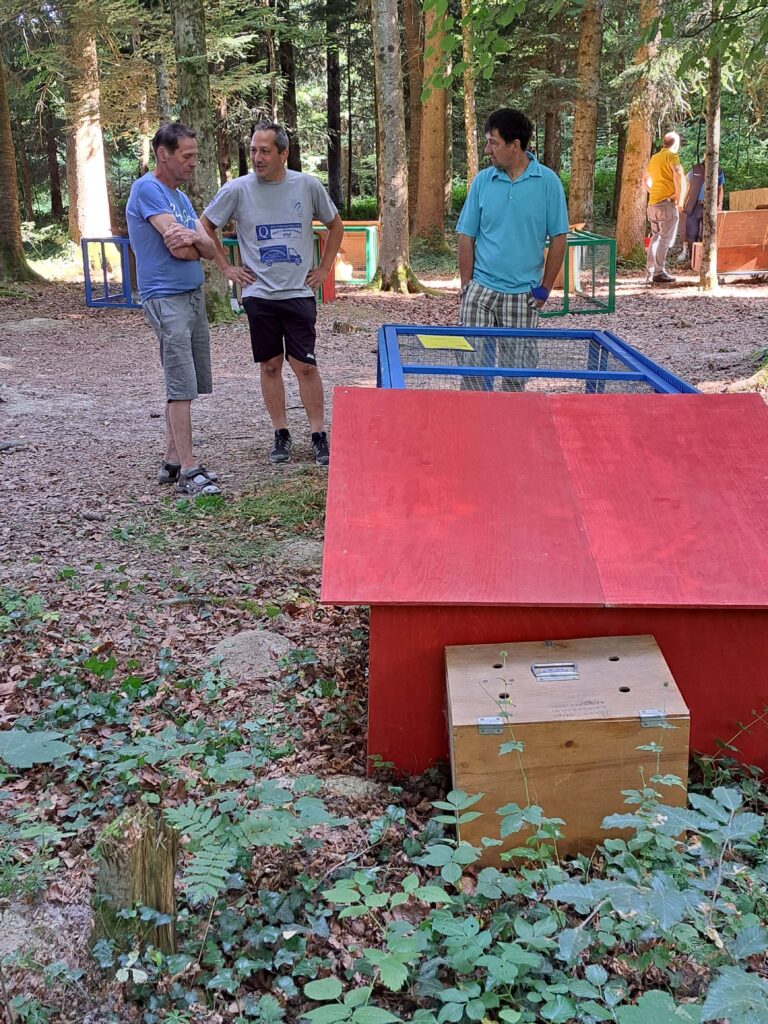 Alles aufgestellt