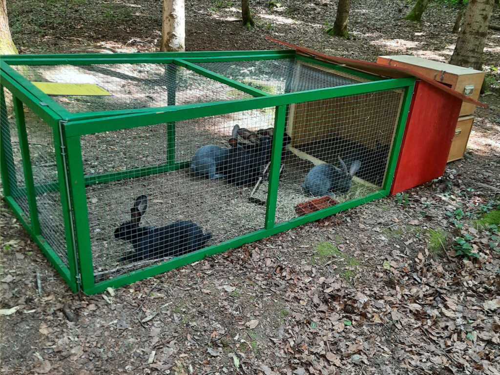Gehege mit Häuschen