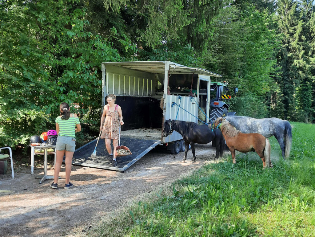 Ponyreiten