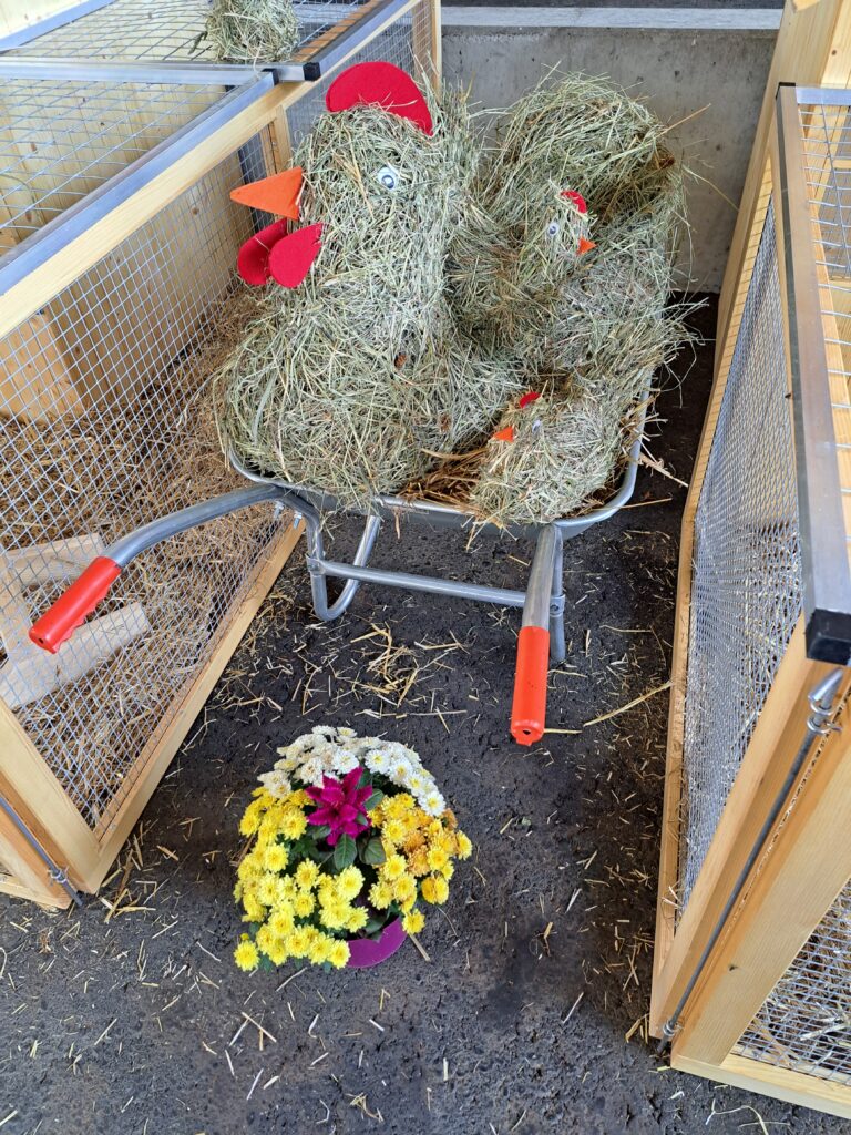 6 Heuhuhn
