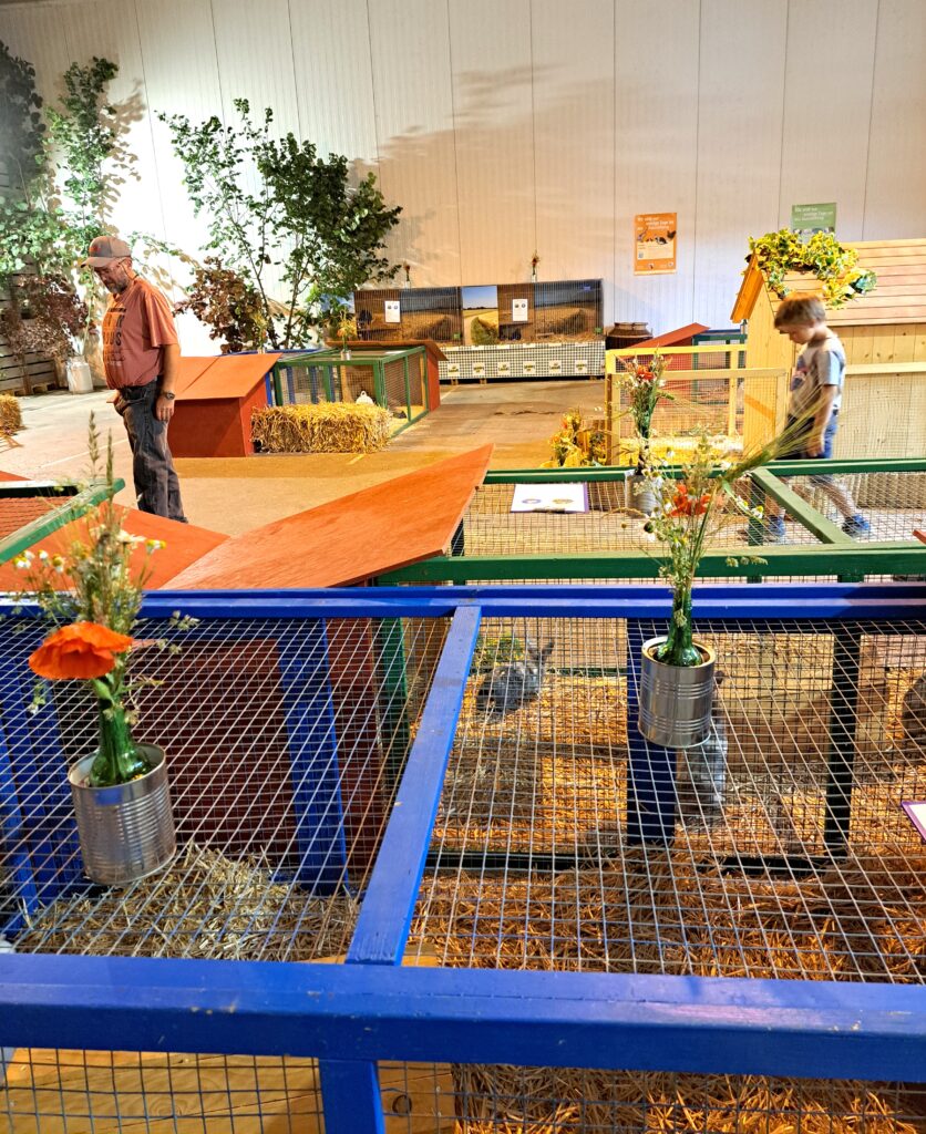 Ausstellung